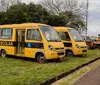Prefeitura de Apucarana realizará leilão de bens inservíveis