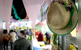 Arraiá 60+ promove baile junino e ações para idosos nesta sexta em Londrina