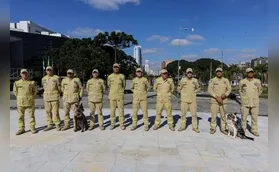 Bombeiros do Paraná voltam da Venezuela e são homenageados
