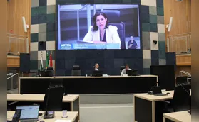 Câmara  aprova atualização do Conselho Municipal de Promoção da Igualdade Racial