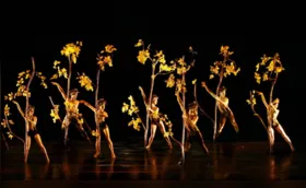 Cia MOMIX apresenta 'Botanica' em Curitiba