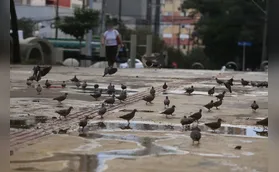Consemma quer devolução de recursos retirados do fundo ambiental