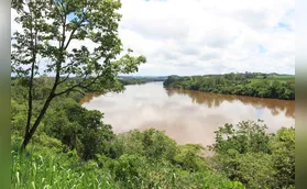 Decreto amplia possibilidades de pagamento por serviços ambientais ao agro
