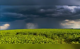 El Niño exige planejamento de pequenos produtores rurais