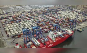 Imagem ilustrativa da imagem Exportações do Paraná chegam a US$ 11,9 bilhões, alta de 5,6%