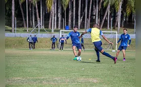 Imagem ilustrativa da imagem Londrina deve voltar a treinar na SM Sports