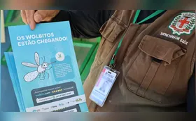 Londrina e Cambé se preparam para nova fase do método Wolbachia