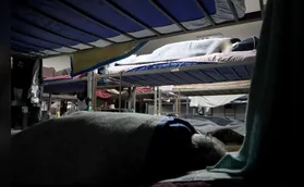 Operação Noite Fria intensifica ação nas ruas de Londrina