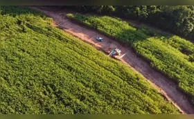 Pesquisa traz dados que contribuem para o manejo do solo de arenito no PR