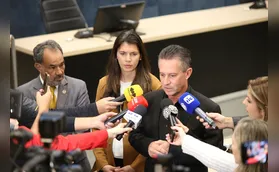 Relator cita depoimentos para recomendar cassação de Anne