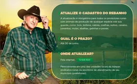 Último dia para produtores do Paraná atualizarem cadastro de rebanhos