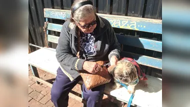 Dona Carmen corta os pelos de Benny no Calçadão