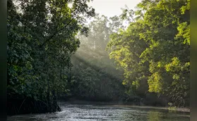 UFPR integra rede nacional que busca transformar biodiversidade em alimentos