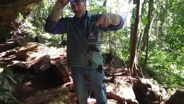 Equipe da Adapar busca abrigos de morcegos na região de Tamarana