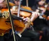 Inscrições abertas para a Orquestra Jovem de Música Brasileira