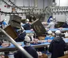 Política de cotas da China retém 400 mil toneladas e desafia exportação de carne bovina