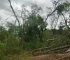 Temporal causa estragos em Cornélio Procópio e Santa Mariana
