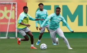Palmeiras busca vantagem contra a LDU nas quartas da Libertadores