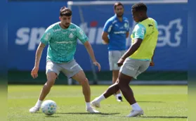Palmeiras enfrenta Botafogo de olho no Flamengo no retrovisor