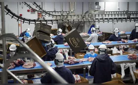 Imagem ilustrativa da imagem Política de cotas da China retém 400 mil toneladas e desafia exportação de carne bovina