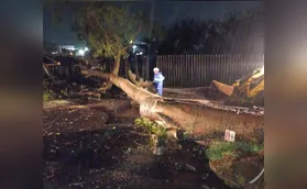 Temporal com rajadas de até 94 km/h causa estragos no Norte do PR