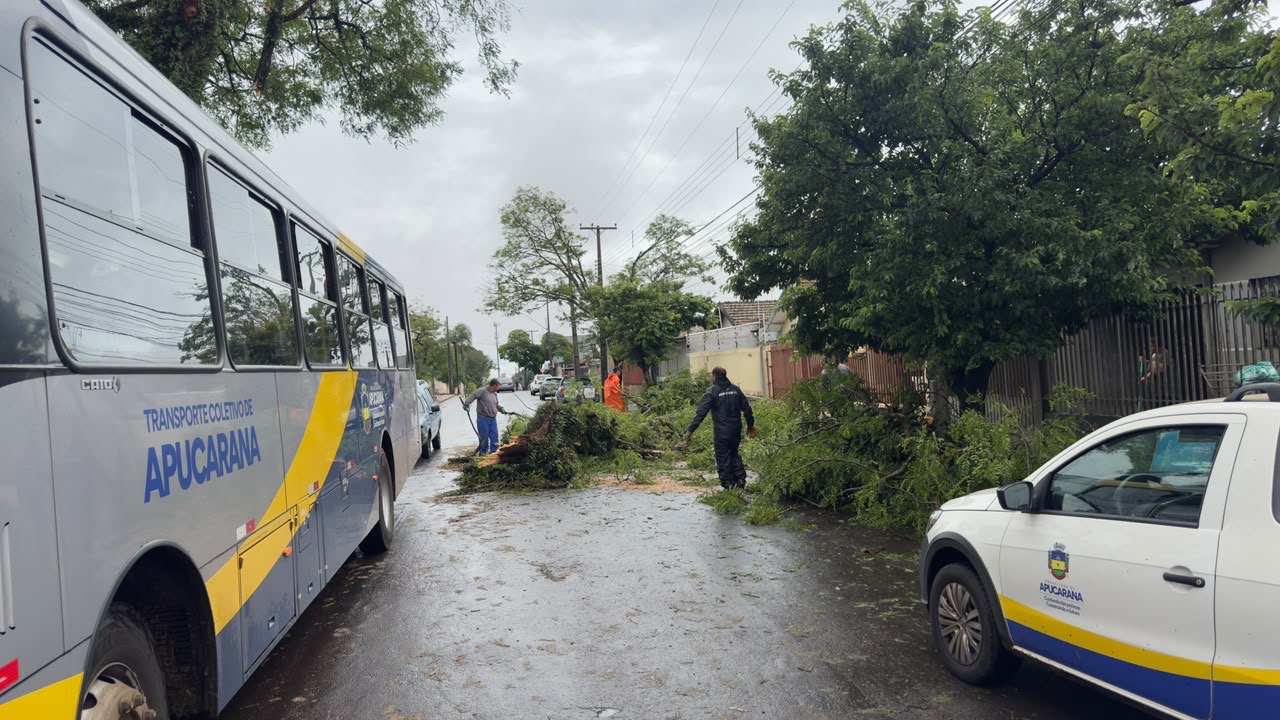 Aulas na rede municipal de Apucarana estão suspensas nesta quarta