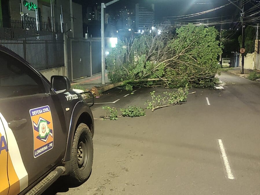 Defesa Civil de Londrina registra queda de árvores e destelhamentos
