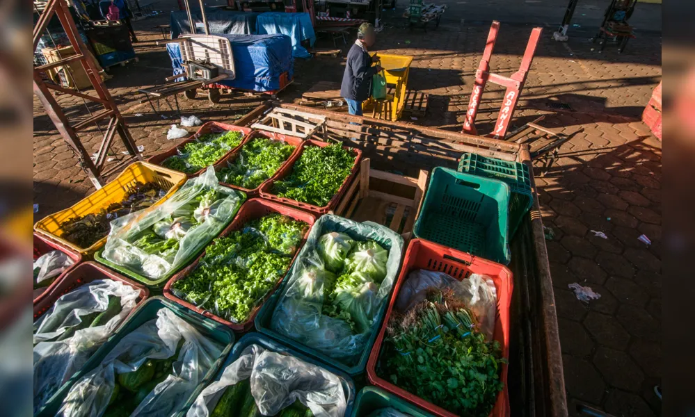 Faep debate ampliação de registro de defensivos agrícolas para hortifrutis