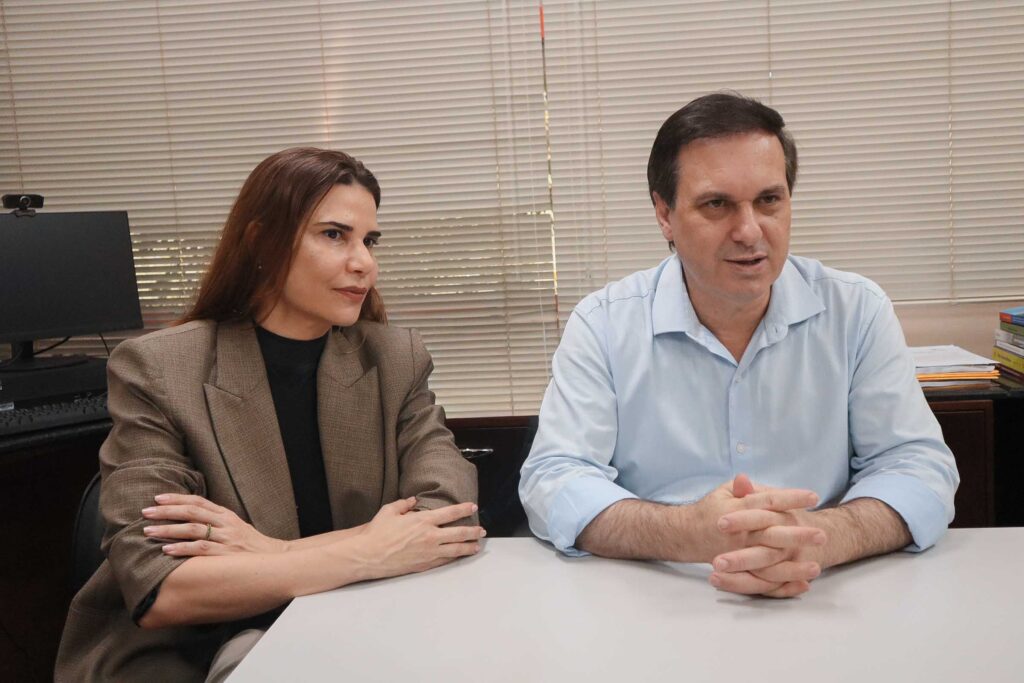 Livro aborda regras eleitorais e o exercício da cidadania