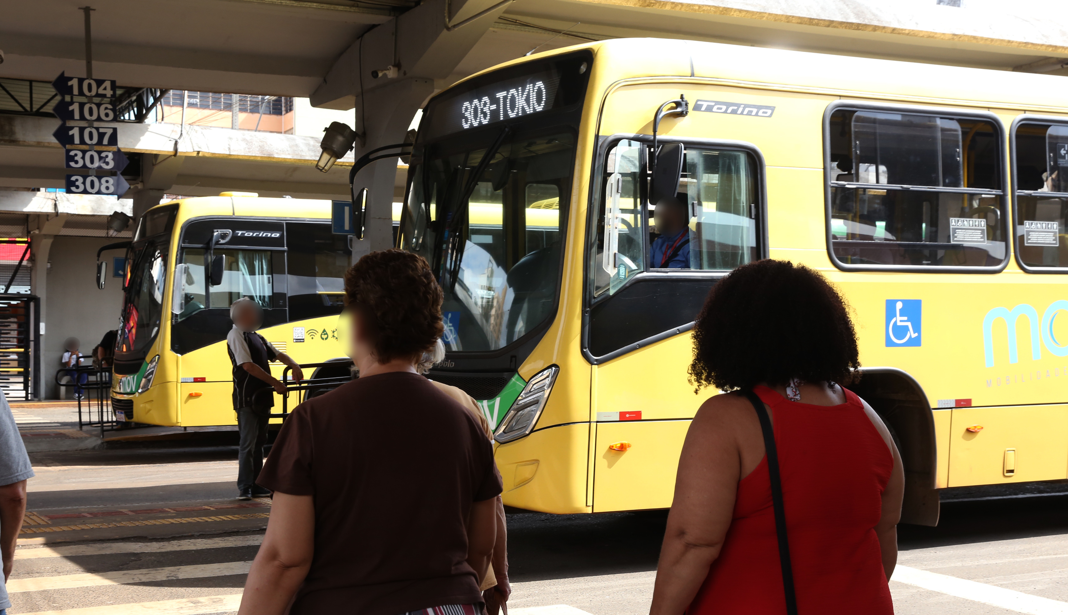 Londrina terá transporte coletivo gratuito no domingo de eleição