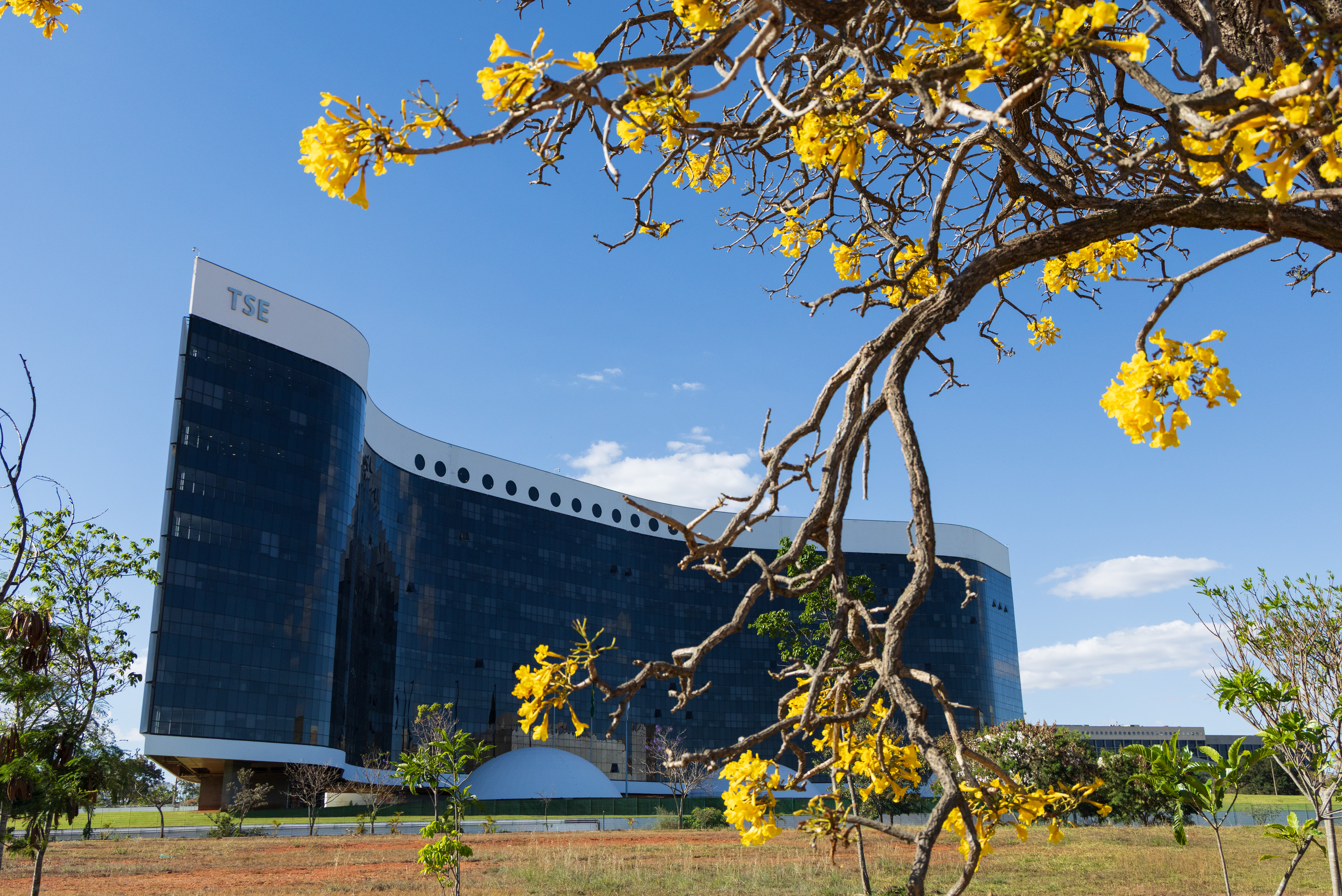 Ministério Público do Trabalho recebeu 18 denúncias de assédio eleitoral no Paraná