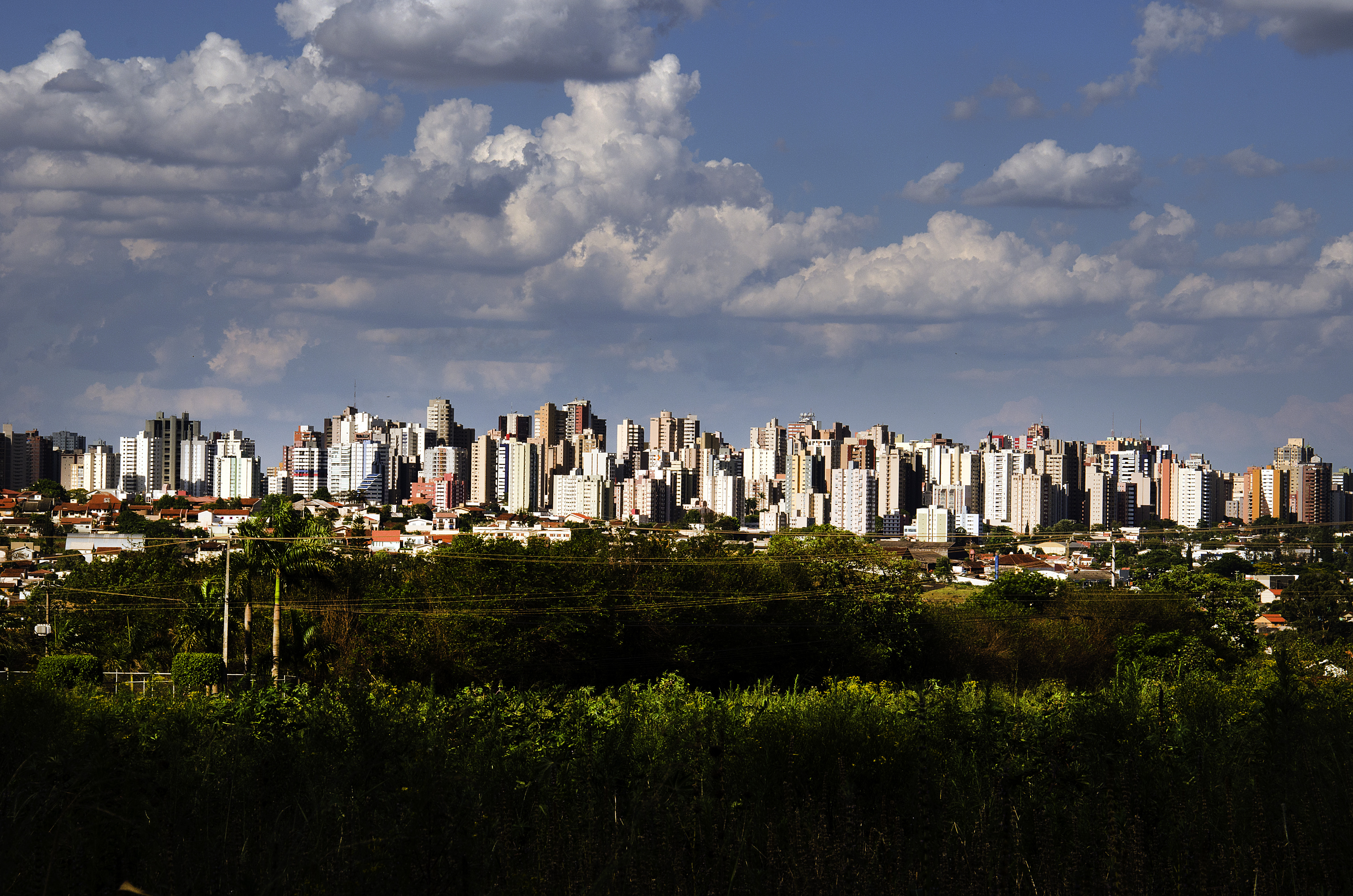 Prefeitura divulga o que abre e fecha no Feriado da Padroeira em Londrina