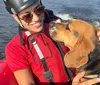 Cãozinho sobrevive a queda de penhasco e é resgatado por bombeiros do PR