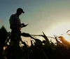 Crise de sucessão afeta cooperativas do Paraná