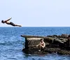 O psicanalista, o paciente e a travessia