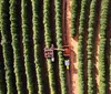 Tarifaço expõe fragilidade econômica de municípios do Paraná