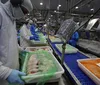 União Europeia reconhece o Brasil como livre de gripe aviária