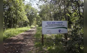 Após força-tarefa, Mata dos Godoy reabre para visitação