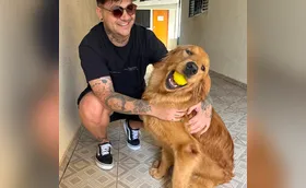Bento, cachorro agredido em Londrina, irá para lar definitivo