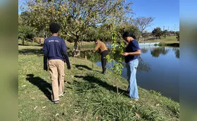 Escola irá reflorestar o fundo de vale do Lago Cabrinha