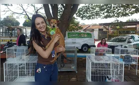 Evento da CMTU une adoção de animais e educação no trânsito