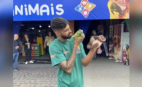 Expo Pet apresenta de cães e gatos a animais exóticos