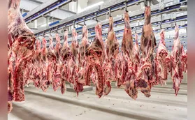 Agro paranaense comemora retirada das taxas americanas