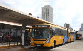 Londrina deve subsidiar R$ 177 milhões do transporte coletivo