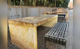 População reclama do 'abandono' do Bosque Central de Londrina