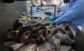 Produtores aprovam compra de perecíveis, mas esperam detalhamento