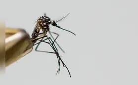 Saúde registra mais um óbito em decorrência da dengue em Londrina