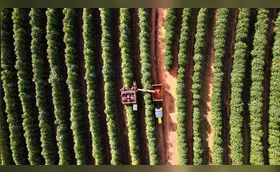Tarifaço expõe fragilidade econômica de municípios do Paraná