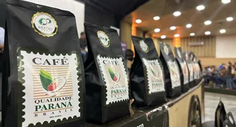 Com café em alta, produtores discutem sustentabilidade e mercado