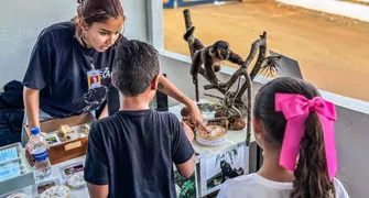 Exposição na Via Rural mostra fauna urbana de maneira lúdica